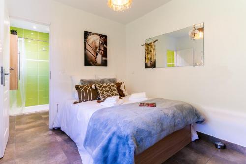 une chambre avec un lit et un miroir dans l'établissement Villa Évasion Charme et Détente, à Maraussan