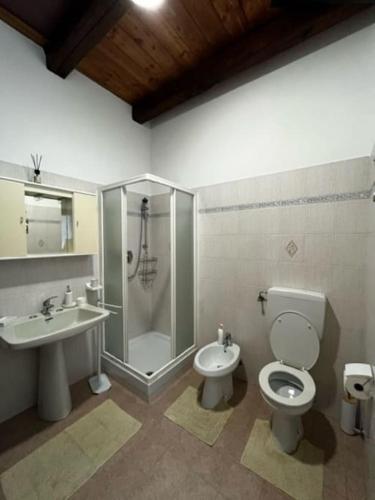 La salle de bains est pourvue d'une douche, de toilettes et d'un lavabo. dans l'établissement La Cürt Brandon, à Frassinetto