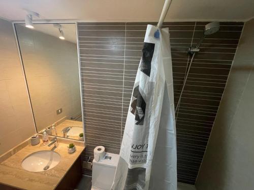 Ένα μπάνιο στο Departamento Puerto Varas, a pocos pasos del lago