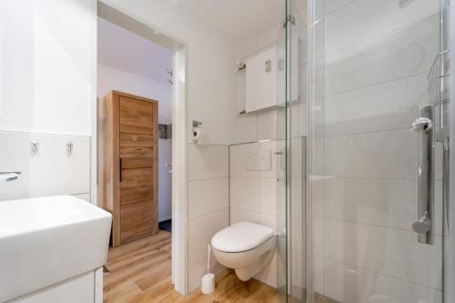 uma casa de banho com um WC e uma cabina de duche em vidro. em Yachthafen am Delf em Bad Zwischenahn