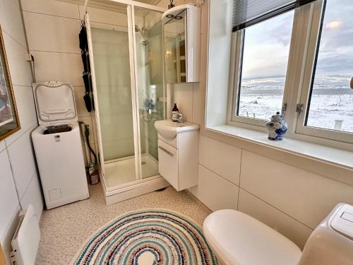 a bathroom with a shower and a toilet and windows at Cozy cottage at the Atlantic coast in Leknes