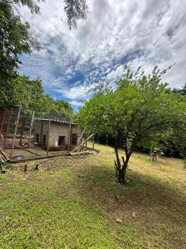 una pequeña casa en un campo con un árbol en Chácara Recanto da Paz, en Caldas Novas