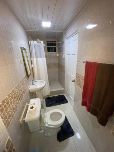 a bathroom with a toilet and a sink and a shower at KSA Apartments in Georgetown