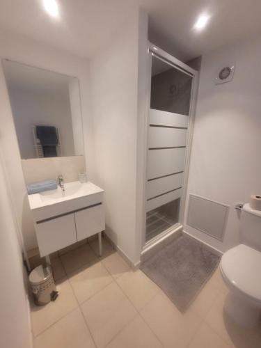 La salle de bains est pourvue d'une douche, d'un lavabo et de toilettes. dans l'établissement Studio Corbas, à Corbas