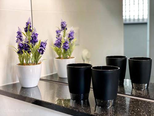 a group of black and white pots with flowers on a counter at Green Oasis Garden in Šenčur
