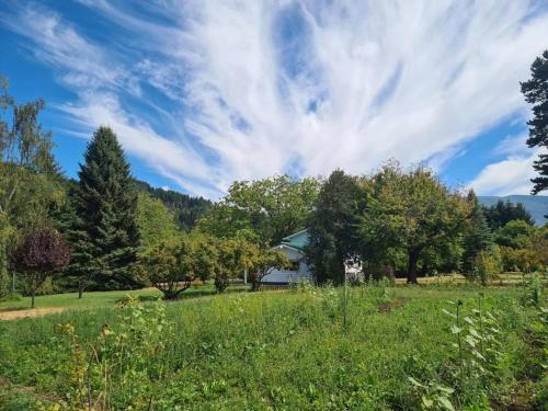a field with trees and a blue sky with clouds at Linaje Hotel Boutique & Relax in Lago Puelo
