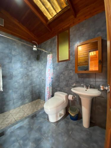 聖胡安拉拉古納的住宿－Lakefront Chalet，一间带卫生间和水槽的浴室