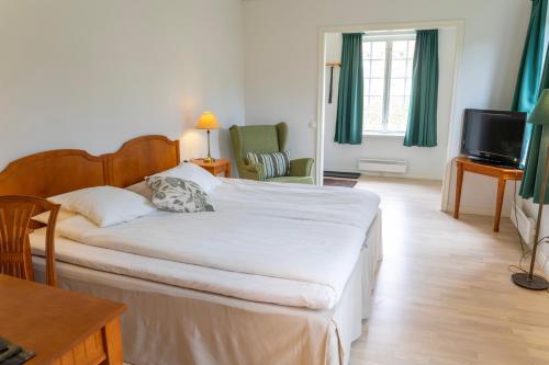 a hotel room with a bed and a television at Möckelsnäs Herrgård in Diö