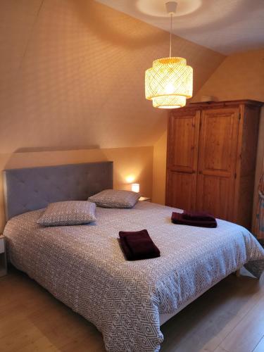 Schlafzimmer mit einem Bett und einem Kronleuchter in der Unterkunft Les Pressoirs in Nogent-lʼAbbesse