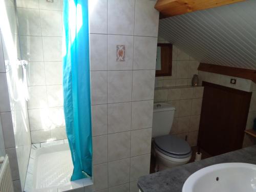een badkamer met een toilet en een blauw douchegordijn bij Au Pied du Cognelot in Chalindrey
