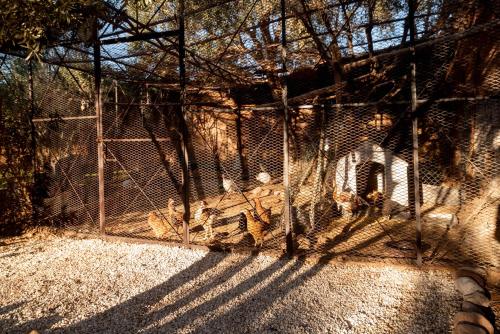 Φωτογραφία από το άλμπουμ του Villa Septha στο Μαρακές