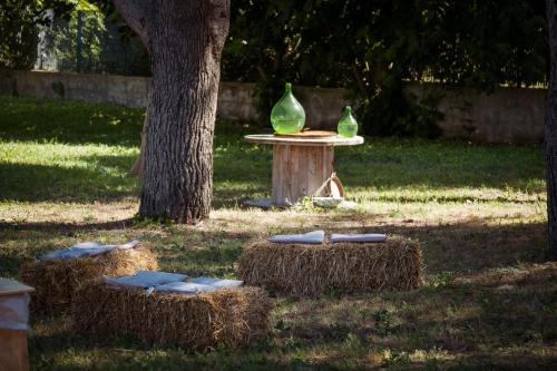 Κήπος έξω από το Masseria Rauccio