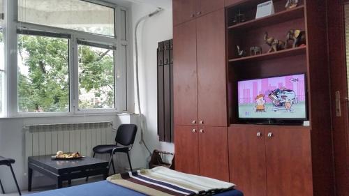 1 dormitorio con TV en un armario de madera en Cozy Square, en Skopje