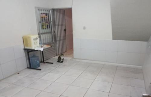 a cat sitting in an empty room with a gate at CASA CARNAVAL OLINDA- 700M PREFEITURA in Olinda