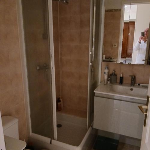 W łazience znajduje się prysznic i umywalka. w obiekcie OREE DE MARLY w mieście Noisy-le-Roi