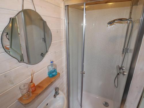 a bathroom with a shower and a sink and a mirror at Aston - Shepherd Hut in Craven Arms