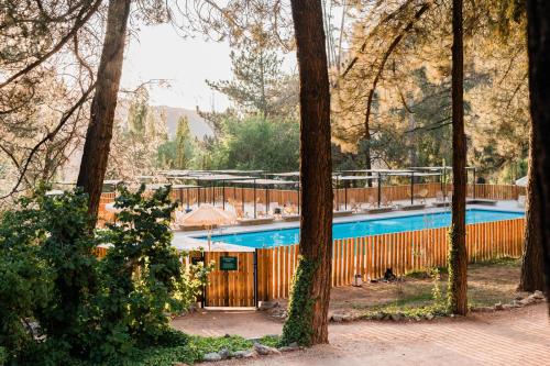 een zwembad in een bos met bomen bij Huttopia Paradise Springs in Valyermo