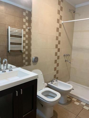 uma casa de banho com um WC, um lavatório e um chuveiro em Hermoso y calido depto centrico em Villa Carlos Paz