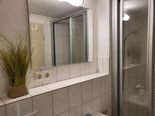 bagno con specchio, lavandino e doccia di Apartment 35 im Haus Villa Anna a Sankt Peter-Ording