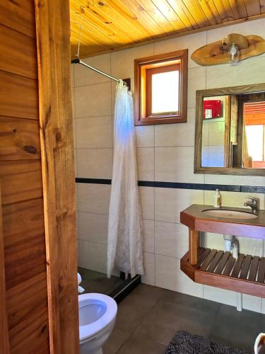 une salle de bain avec toilettes et lavabo dans l'établissement Rio Manso cabaña km 18, à Río Villegas