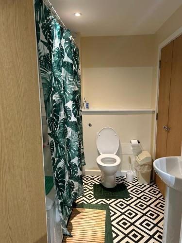 a bathroom with a toilet and a shower curtain at Luxury 2 Bedroom Apartment around LCY Airport in London