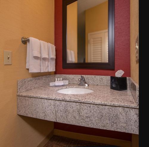 a bathroom with a sink and a mirror at Courtyard Williamsburg - Busch Gardens in Williamsburg