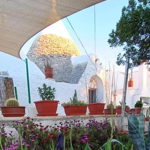 Estate nel trullo – Photos 3