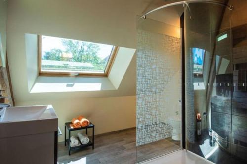 a bathroom with a shower and a sink and a window at Gîte Les Hirondelles in Curgy