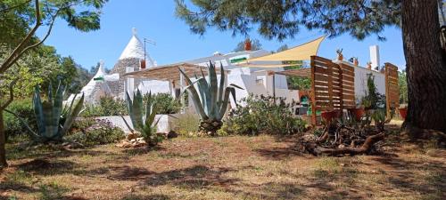 Estate nel trullo – Photos 2