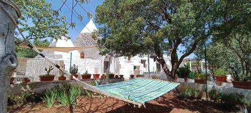 Estate nel trullo – Photos 5