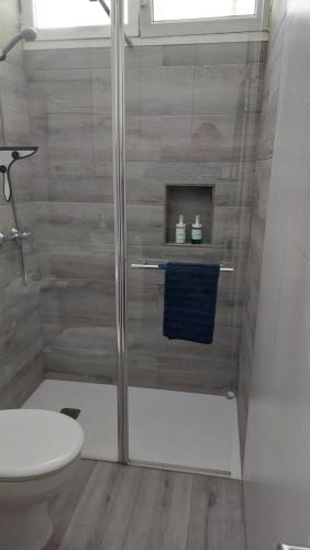 a bathroom with a shower with a toilet and a sink at CASA FABi in Arrieta