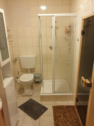 ein Bad mit einer Dusche und einem WC in der Unterkunft Ferienwohnung Habicht Villa-Pälitzsee in Großzerlang