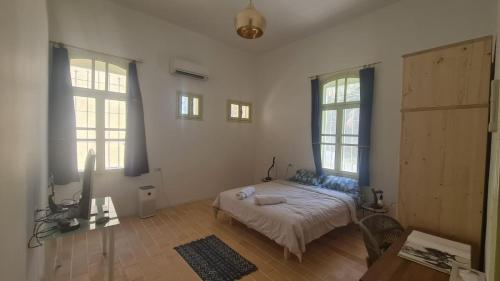 a bedroom with a bed and two windows at fishpond garden place דירת גן ובריכת דגים - תלפיות in Haifa