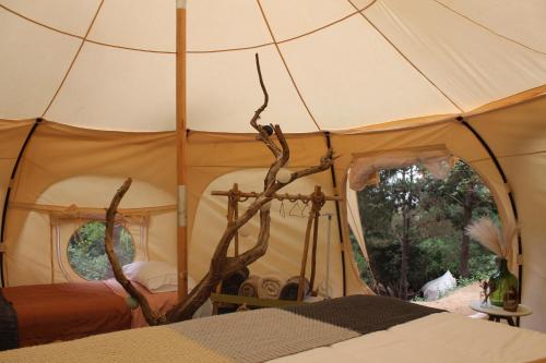 a tent with a tree in it with a mirror at Glamping de Matanzas in Matanzas