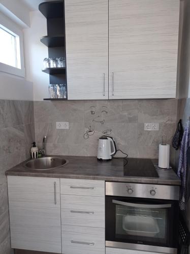 Kuchyň nebo kuchyňský kout v ubytování Apartman Sunce