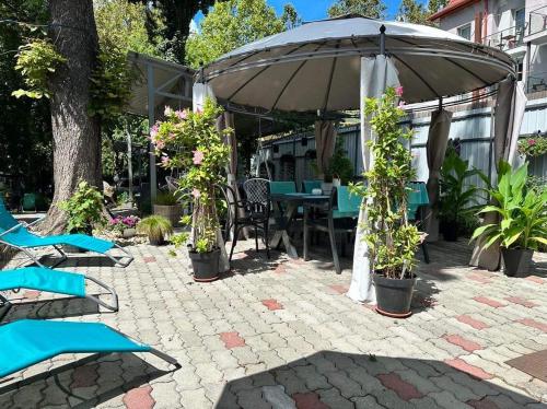 a patio with an umbrella and chairs and plants at Kertész Vendégház in Siófok