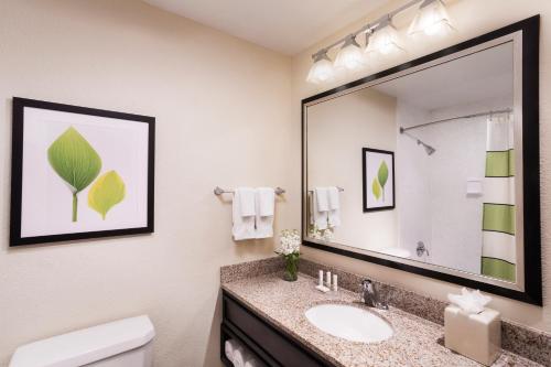 een badkamer met een wastafel en een grote spiegel bij The Querque Hotel in Albuquerque
