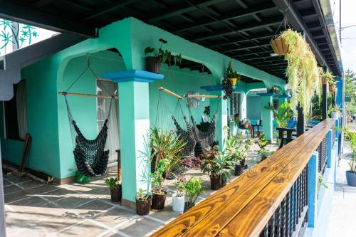 フォルトゥナにあるArgdivan Hostelの木製のベンチと植物のある緑の建物