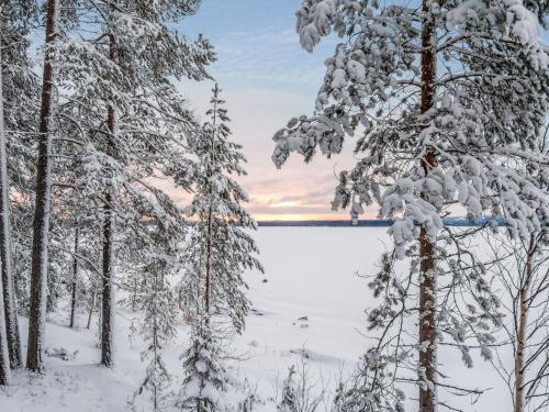 einen schneebedeckten Wald mit Bäumen und einem See in der Unterkunft Holiday Home Kianta by Interhome in Sotkamo