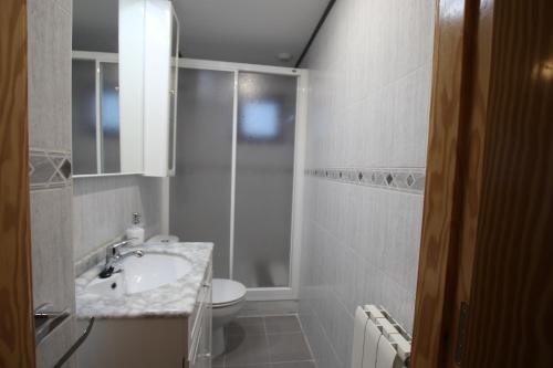 a bathroom with a shower and a sink and a toilet at Bonita casa de montaña en el Pirineo Central in Escarrilla