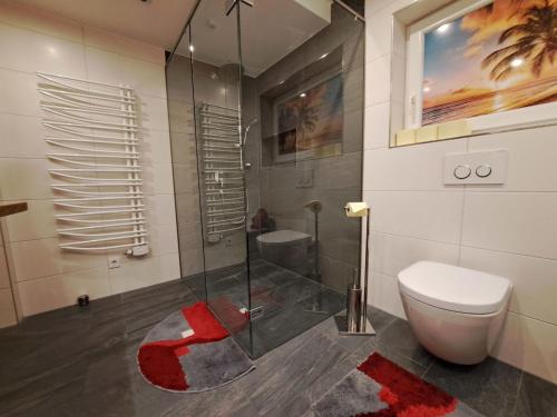 e bagno con servizi igienici e doccia in vetro. di Apartment Alpina-3 by Interhome a Finkenberg