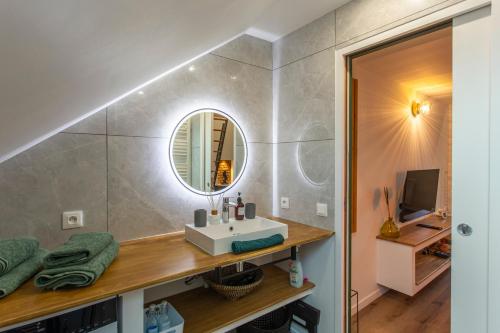 La salle de bains est pourvue d'un lavabo et d'un miroir. dans l'établissement GreenStation-Gare-Centre Ville-Hortillonnages-WIFI, à Amiens