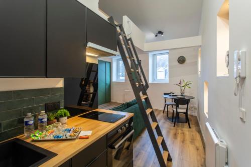 une cuisine avec une échelle allant jusqu'à un comptoir dans l'établissement Le GreenStation-Gare-Hortillonnages-Centre Ville, à Amiens
