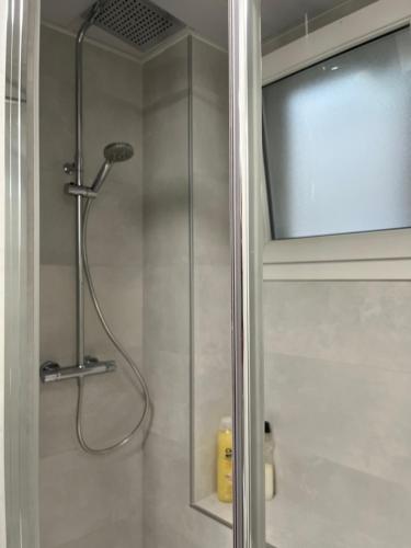 La salle de bains est pourvue d'une douche avec une porte en verre. dans l'établissement Apto. Playamar, à Torremolinos