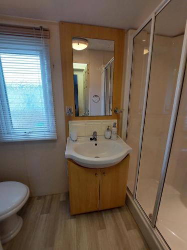 La salle de bains est pourvue d'un lavabo, d'une douche et de toilettes. dans l'établissement Winnie - Caravan mit Meerblick, à Drummore