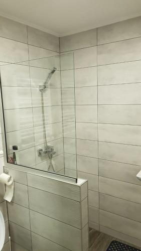 W łazience znajduje się prysznic ze szklanymi drzwiami. w obiekcie Cornelius Studio w mieście Gałacz
