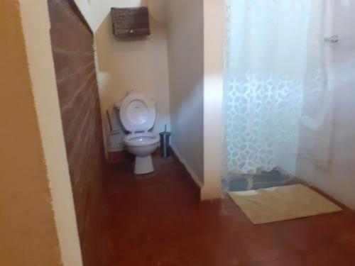 a small bathroom with a toilet and a shower at Casa Riverstone in León