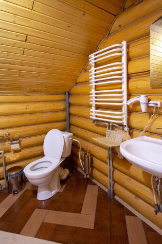 a bathroom with a toilet and a sink at Садиба У Василини та Романа in Bukovel