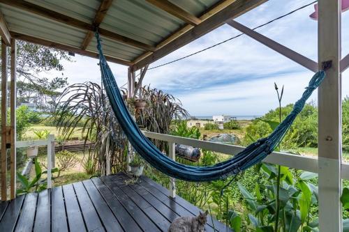 a hammock on a deck with two cats on it at Casita Picaflor in Punta del Este