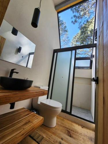 a bathroom with a sink and a toilet and a mirror at Le Petite Chalet Mazamitla in Mazamitla